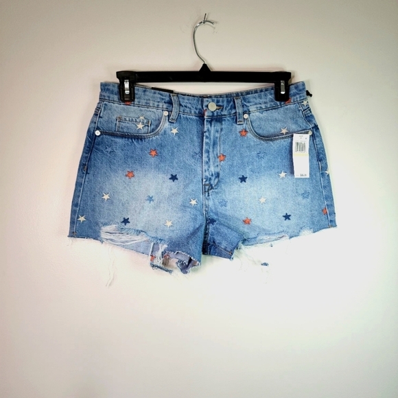 BlankNyc x Revolve Embroidered Shorts - Picture 9 of 12